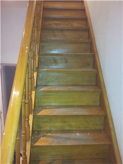 Vloerbekleding & trappen