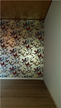 Schilderwerken binnen & wandbekleding